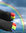 Zehensocken Regenbogen Bunt Größe L